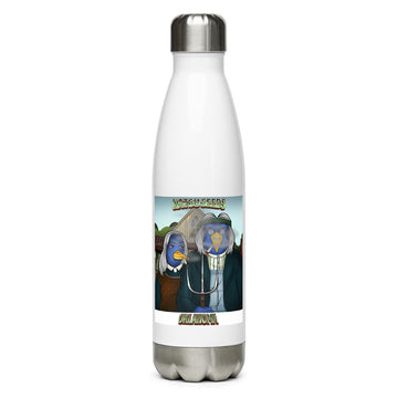Stainless steel water bottle