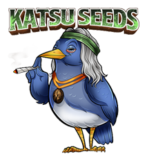Katsu Seeds Merchandise