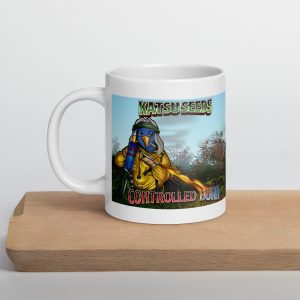 Controlled Burn Mug
